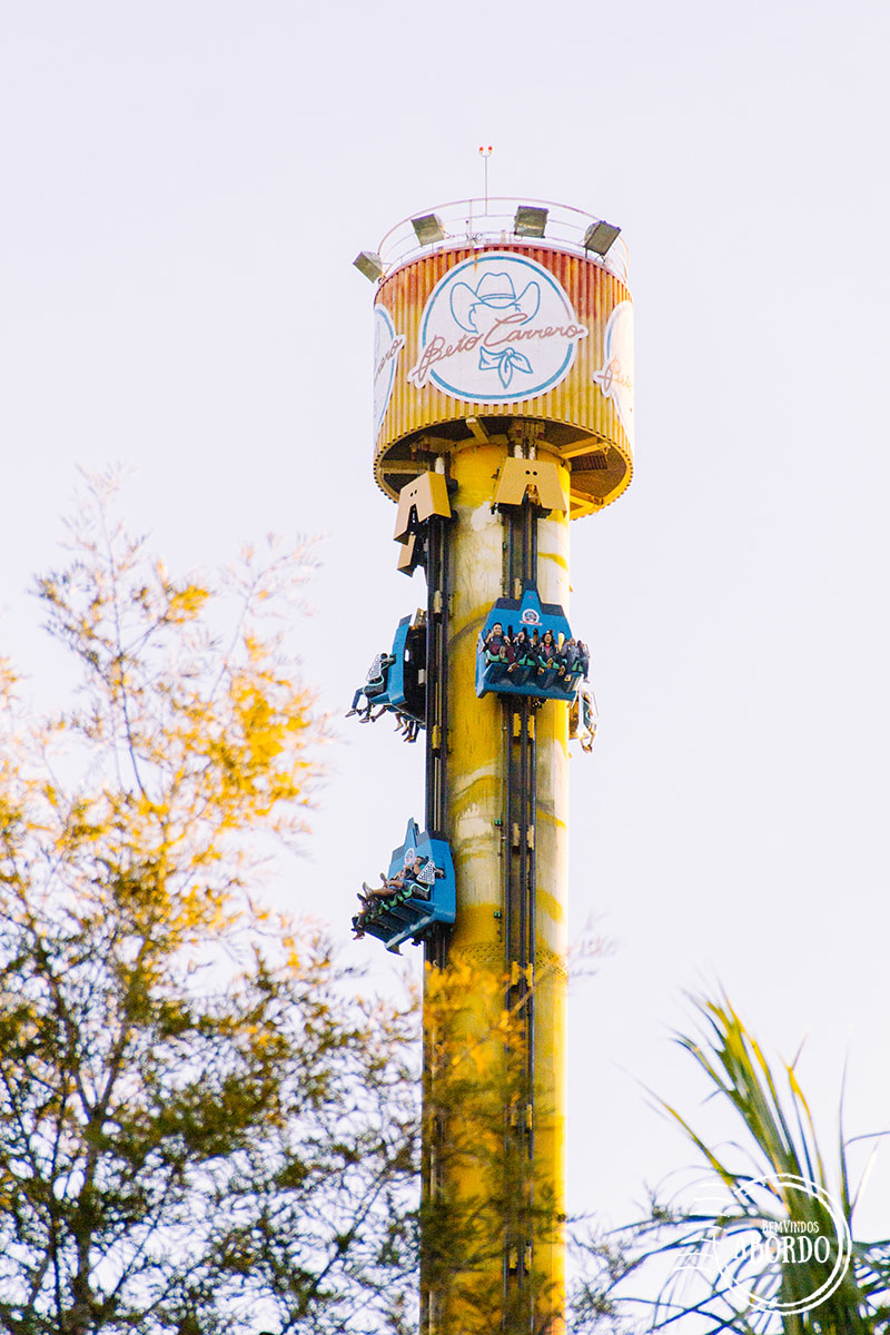 Big Tower!  Qual a sensação de curtir a Big Tower? Com 100 metros